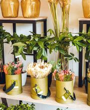 Fior Fleurs image 12