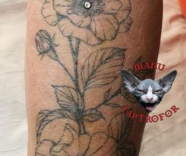 Manu Taptrofor Piercing image 9