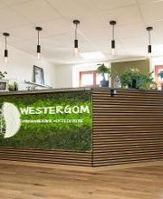 Physiotherapie & Osteopathie Marco Westergom Bild 13