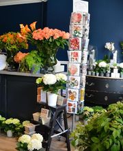 Marie Paolini image 11