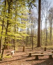 Zentraler Ort des Erinnerns und Gedenkens im FriedWald Bremervörde ist der Andachtsplatz.