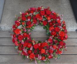 Blumensaison Bild 5