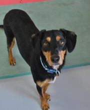 Sport Santé Plus image 1