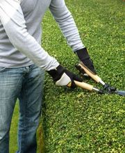 Agri Paysage SARL image 7