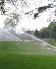 Cereghetti Sergio Sagl Bild 8