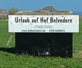 Hof Belvedere Bild 13