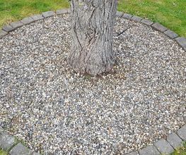 Schäfer Haus- und Gartenservice Bild 11