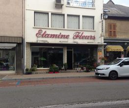 ETAMINE FLEURS image 4