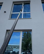 IMG_5551.jpeg