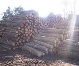 maderas-j-seoane-sl-madera-03.jpg