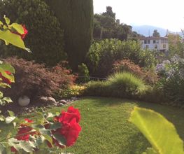 Art & Giardini Sagl Bild 7