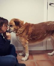 Arca Veterinaria imagen 15