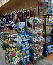 AmaitaVet Clínica Veterinaria imagen 10