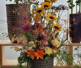 Blumen Hirter Bild 7