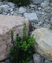 E. Erny Tiefbau- und Umgebungsarbeiten AG Bild 6