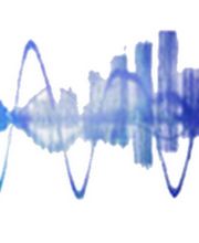 C.D.B Acoustique image 3