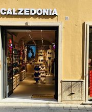 Calzedonia immagine 1