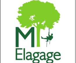 Mickaël Emorine image 1