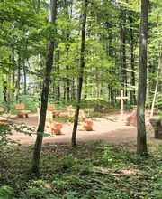 FriedWald Wiesenbach Bild 1