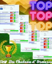 CER ORMESSON LE CHATEAU image 16