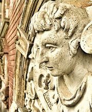 Müller Daniel Bild 3