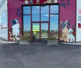 CEGE image 5
