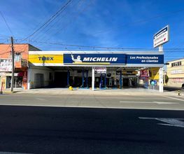 TIREX MICHELIN 9 Sur imagen 1