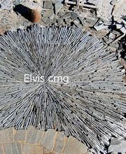 ELVIS CMG image 2