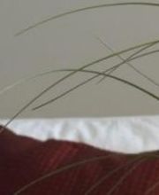 PROERFO Home Staging Bild 1