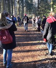 RolfsRudel Hundeschule / Rolf Matar Bild 17