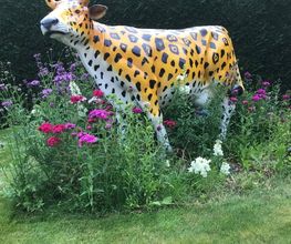 Royal Jardin sarl Bild 12
