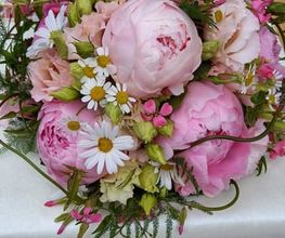 Blumen Schweizer Bild 6