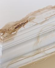 Restorx of Washington image 5