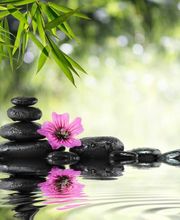 Praxis Für Traditionelle Chin. Medizin TCM Bild 6