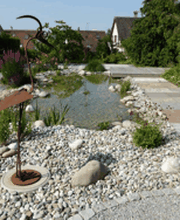 David Gartenbau AG Bild 4