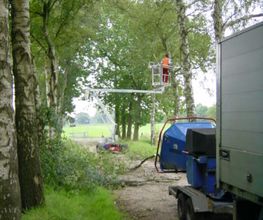 Boomverzorging Bouwmeester