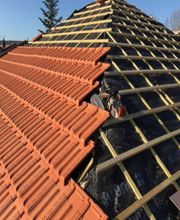 Surest Dominique image 2