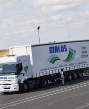 CFP Malus 18 image 8