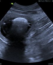 20882577-1-FTJLbjMl7Q1774396699340.png