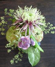 Flora et labora Assia Frankl Bild 3