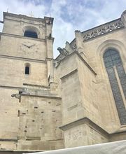 Provence by Flore image 10
