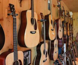 Guitars & Repairs Winkler GmbH Bild 4