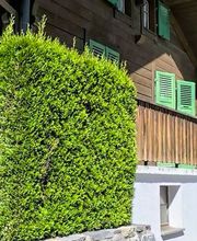 Renov'MI Sàrl Bild 4