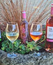 Vignobles Gabard image 9