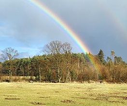 SiLu-Ranch Eickendorf Bild 1