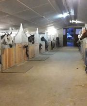 Ranch du p'tit bonheur Bild 6