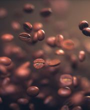 Tchibo-Shop
Guter Kaffee verfügt über rund 800 Kaffee-Aromen – ein Fest für die Geschmacksknospen. Ob als ganze Bohne, gemahlen, als Pad oder als Kapsel, ob Espresso oder Crema – im Tchibo-Shop finden Sie Ihren Lieblingskaffee. Oder Sie stöbern durch die Tchibo-Themenwelten: Mode, Lifestyle, Haushalt –frische Ideen, jede Woche neu.