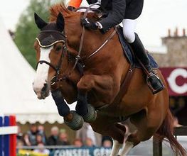 Ecuries Sylvain Frère image 2