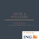 Cevik & Kollegen