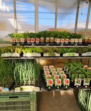 GIARDINI DOS SANTOS CANIÇO Bild 13